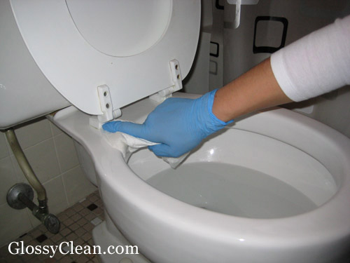 Wipe all areas of the toilet until it is dry and clean.